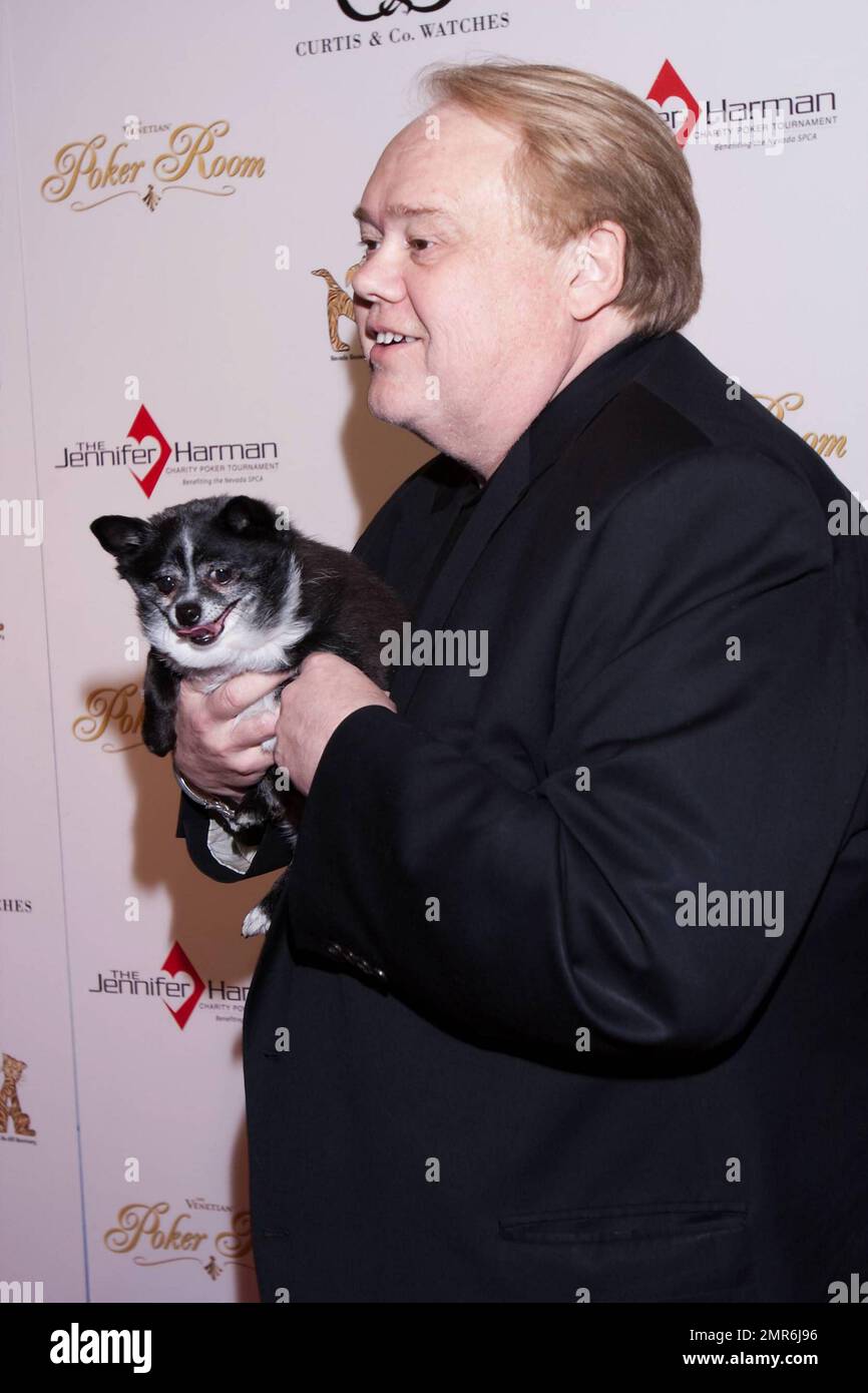 Louie Anderson al quarto torneo annuale di Jennifer Harman Charity Poker organizzato dalla sala da poker Venetian. I proventi dell'evento avvantaggiano la Nevada SPCA. Las Vegas, Nevada. 4/13/10. . Foto Stock