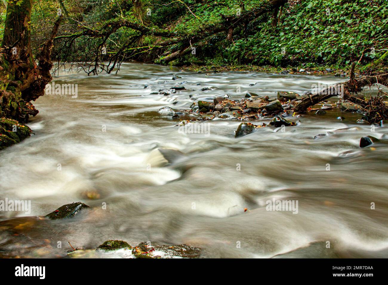 In Scozia, le spettacolari cascate Arbirlot e Elliot Water si trovano vicino ad Arbroath, Regno Unito Foto Stock