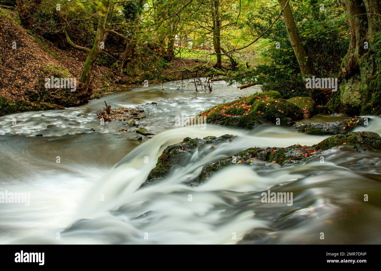 In Scozia, le spettacolari cascate Arbirlot e Elliot Water si trovano vicino ad Arbroath, Regno Unito Foto Stock