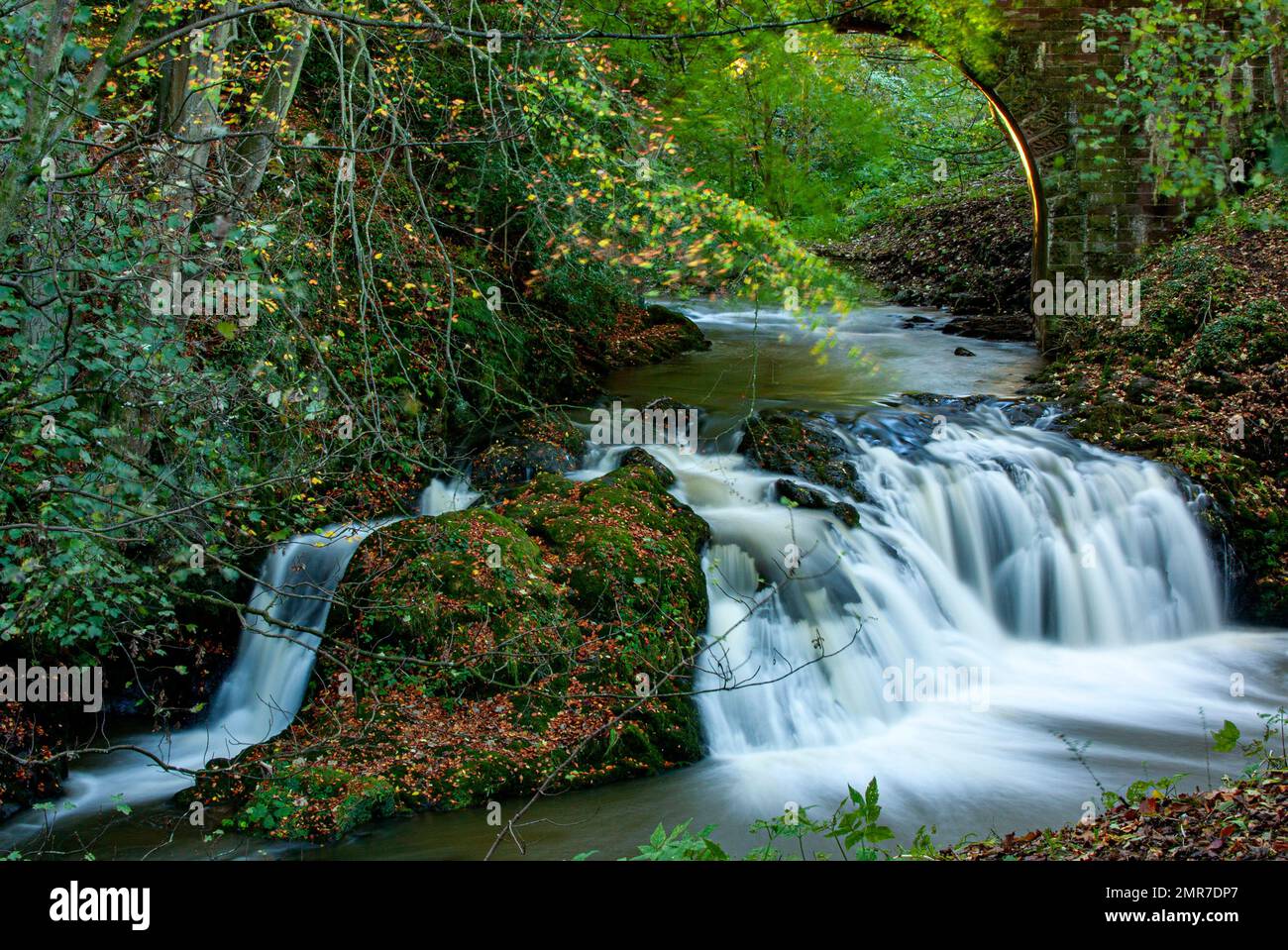 In Scozia, le spettacolari cascate Arbirlot e Elliot Water si trovano vicino ad Arbroath, Regno Unito Foto Stock