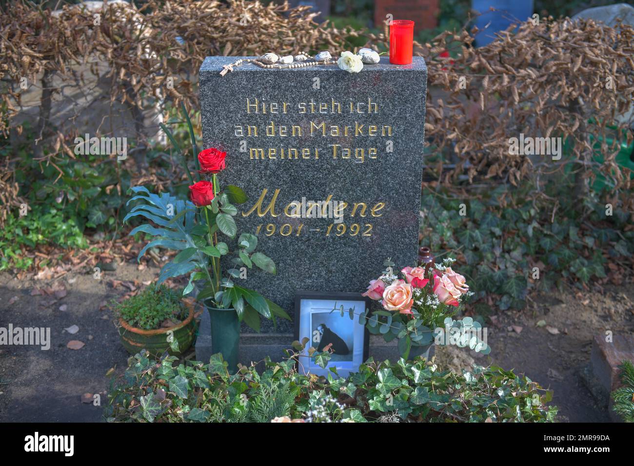 Tomba, Marlene Dietrich, Cimitero, Stubenrauchstraße, Friedenau, Schöneberg, Berlino, Germania, Europa Foto Stock