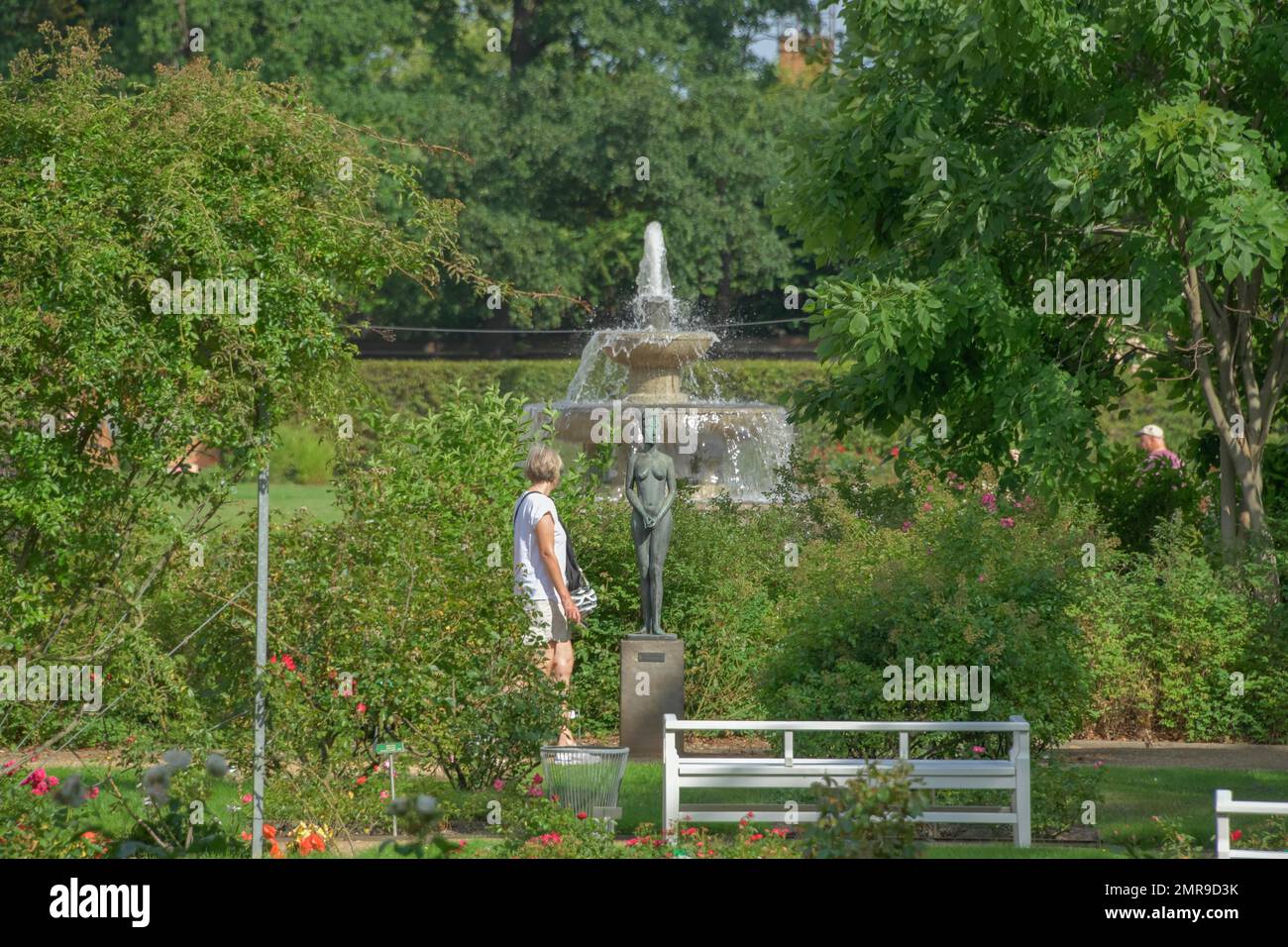Giardino delle rose della Germania orientale, Forst, Brandeburgo, Germania, Europa Foto Stock