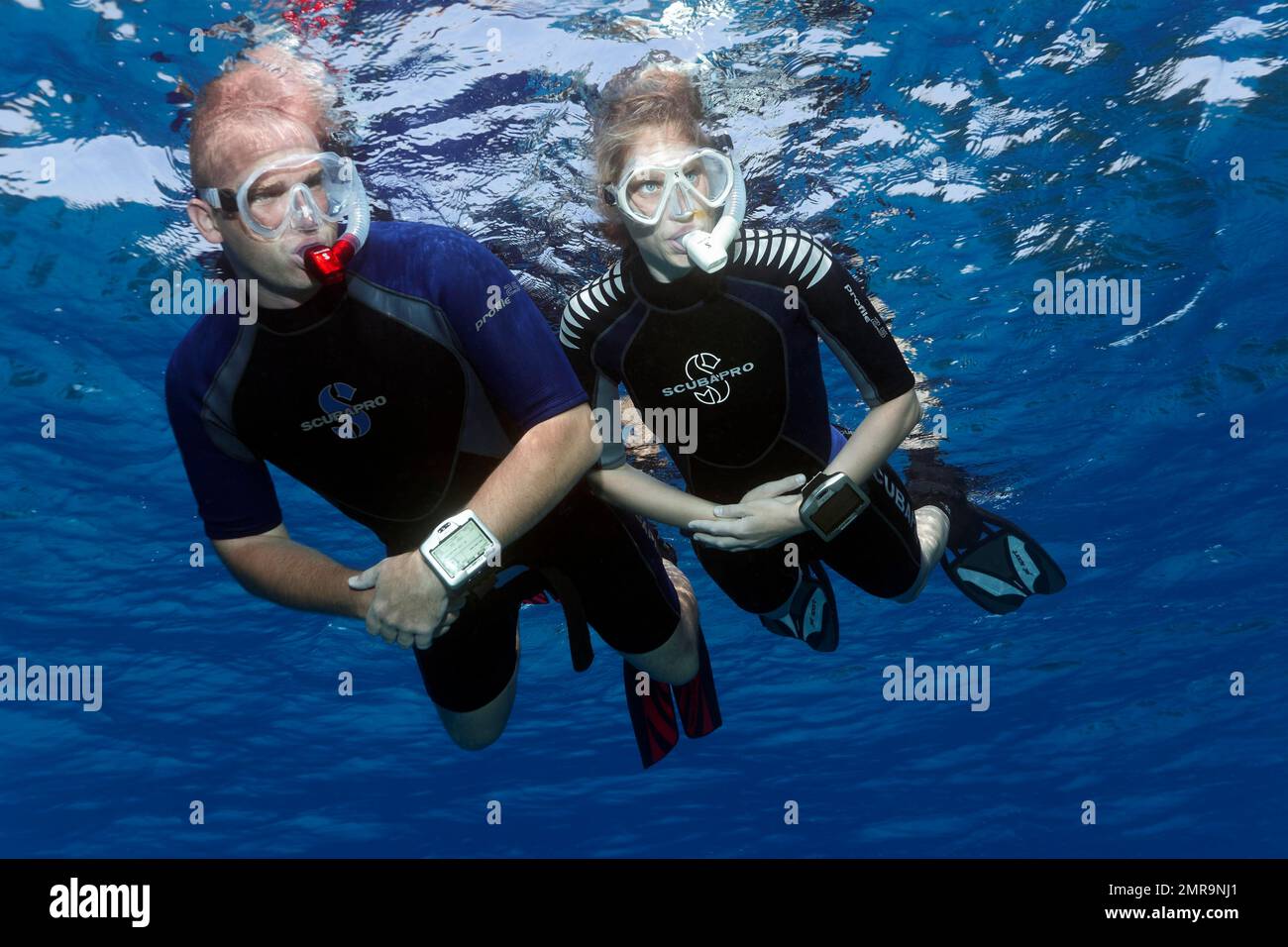Apnea subacquea, freediver, snorkeler, coppia, uomo e donna snorkeling sulla superficie del mare, Mar Rosso, Hurghada, Egitto, Africa Foto Stock