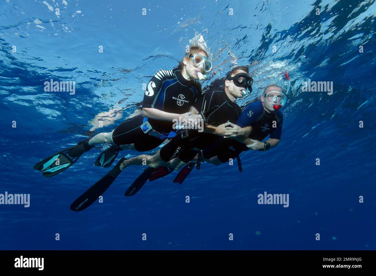 Apnea subacquea, freediver, snorkeler, coppia, uomo donna snorkeling per la sicurezza agganciati dalle braccia sulla superficie del mare, Mar Rosso, Hurghada, Egitto, Africa Foto Stock