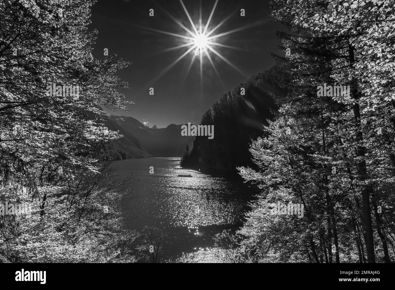 Bianco e nero, vista dall'angolo del pittore verso Königssee, Schöngau, Berchtesgadener Land, Baviera, Germania, Europa Foto Stock