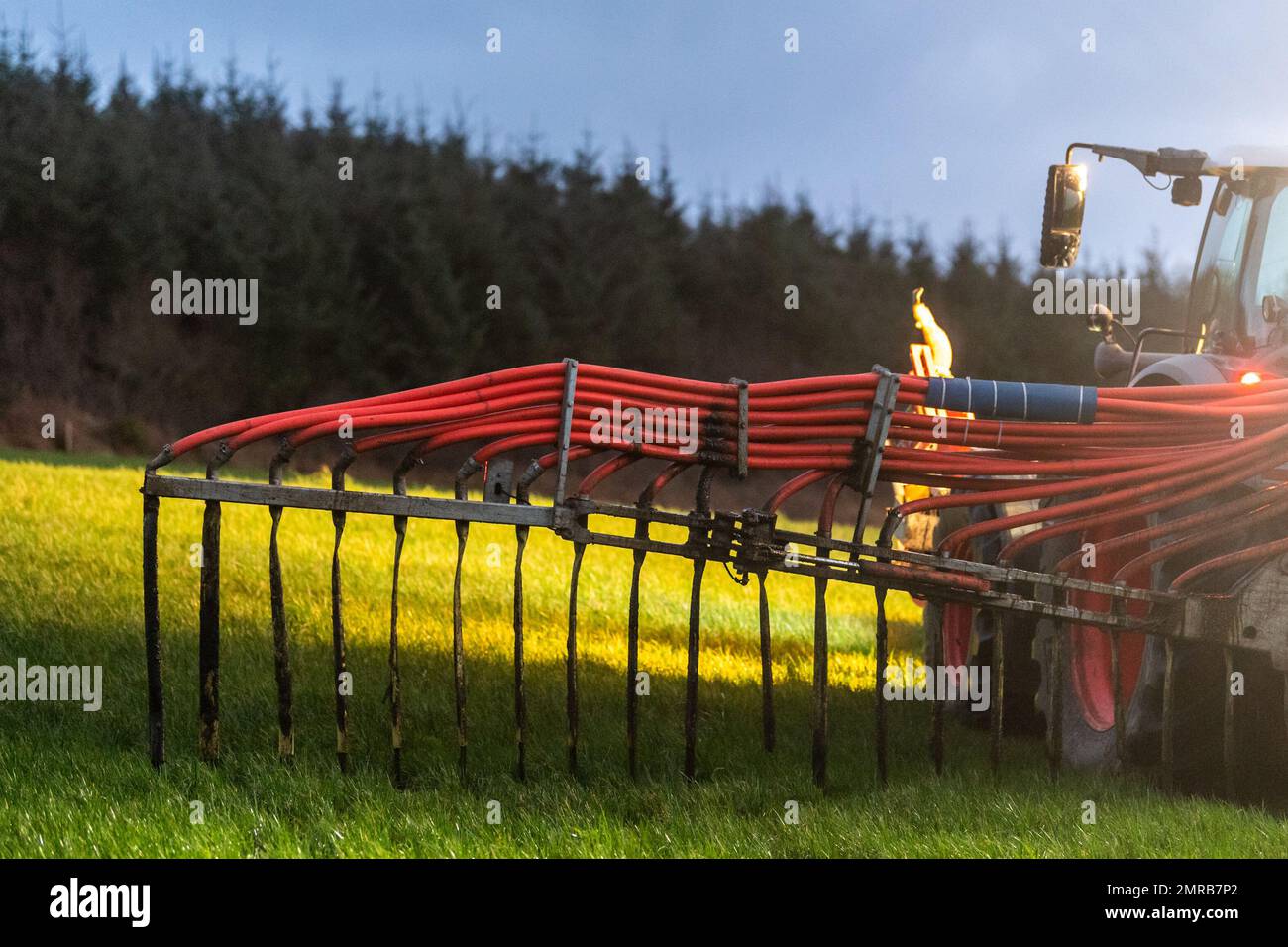 Clounkeen, West Cork, Irlanda. 31st Jan, 2023. Dennehy Harvesting Contractors ha distribuito liquame sui terreni agricoli di Clounkeen l'ultimo giorno di gennaio. Gli appaltatori con sede a Ballyhooley riempiono un serbatoio mobile per liquame tramite le autocisterne New Rock 4000 e pompano l'impasto in uno spanditore con barra di sgranamento. Questa forma di spandimento dei liquami contribuisce a ridurre le emissioni, il che è migliore per l'ambiente. Credit: AG News/Alamy Live News Foto Stock