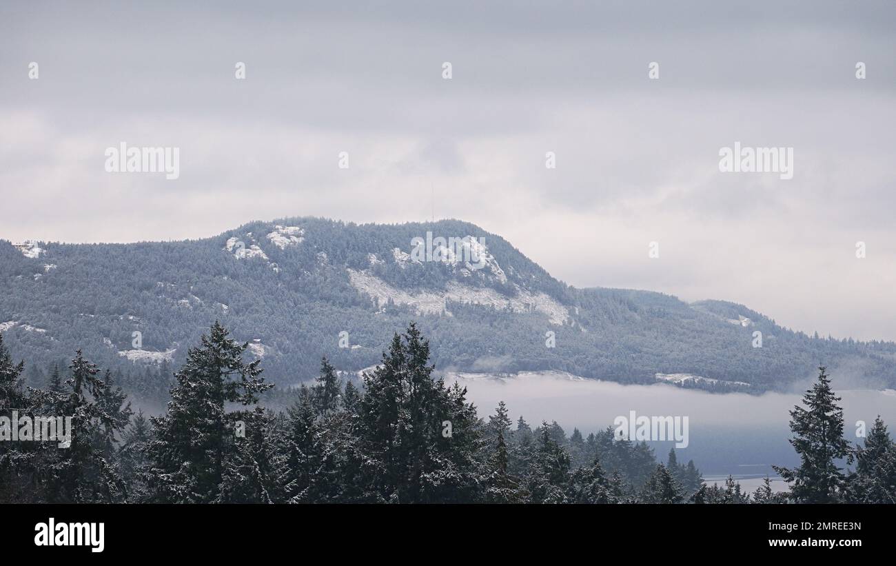 Neve fresca in una zona boschiva. Foto Stock