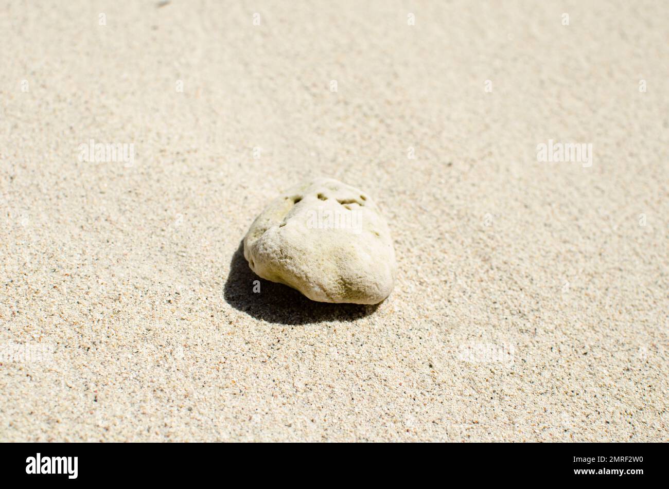 Roccia di corallo sulla sabbia bianca nell'isola di Guna Yala Foto Stock