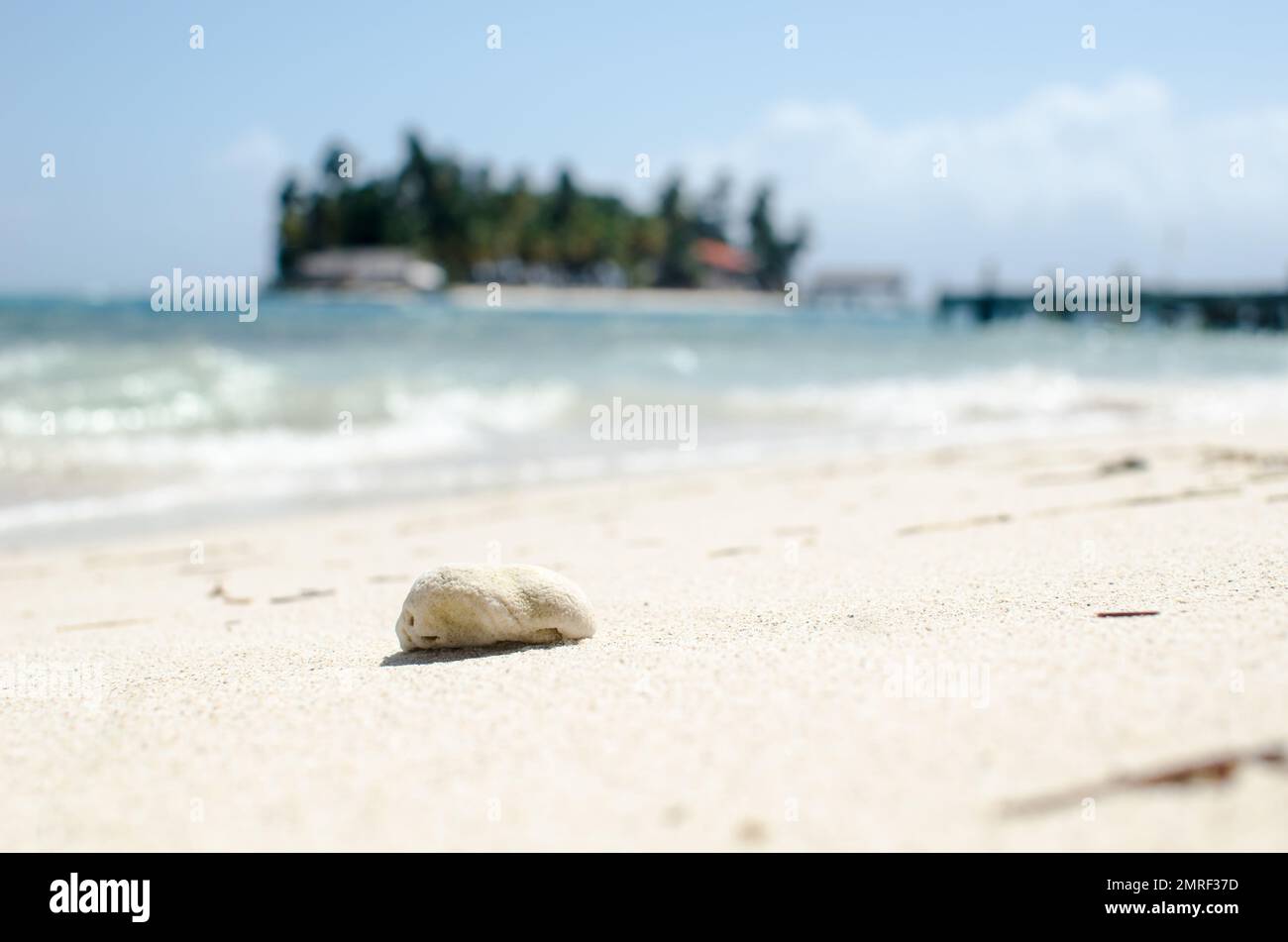 Roccia di corallo sulla solitaria spiaggia di sabbia bianca Foto Stock