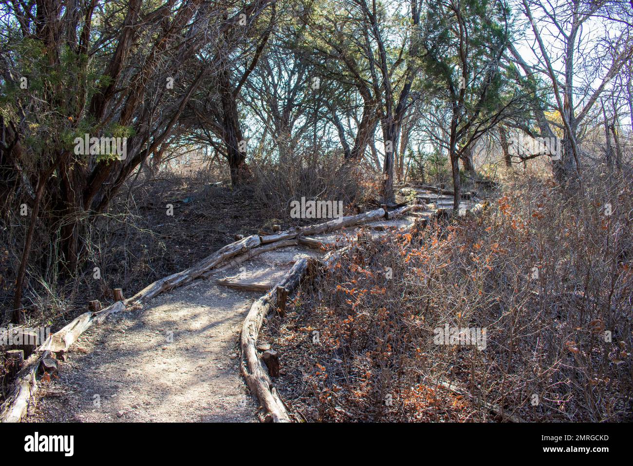 Sentiero naturalistico che conduce attraverso la foresta nel parco statale di Abilene, Texas. Foto Stock