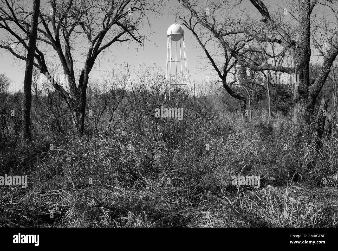 Foto in bianco e nero di una torre di stoccaggio dell'acqua in un campo di alberi colpiti dalla siccità. Abilene state Park, Texas Foto Stock