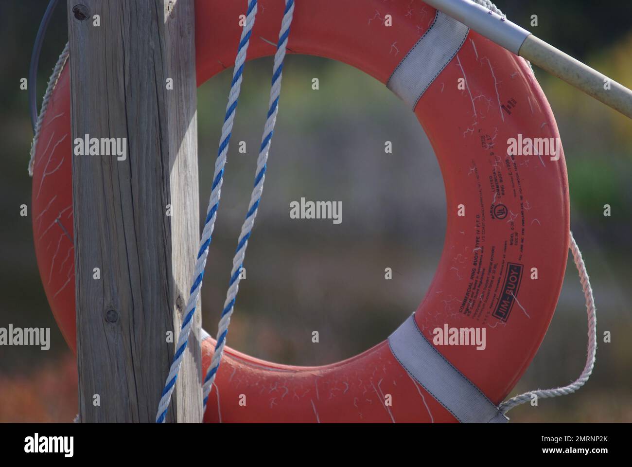 Anello di gomma ciambella attaccata sul palo di legno con una corda e stagno blured sullo sfondo Foto Stock