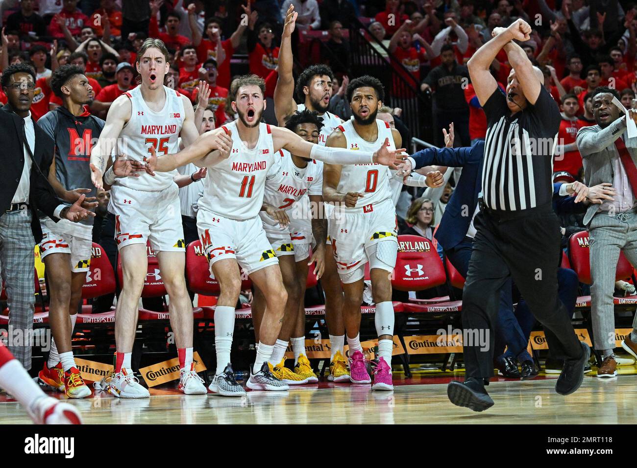 College Park, Maryland, Stati Uniti. 31st Jan, 2023. La panchina dei Maryland Terrapins reagisce a un flagrante fallo durante la partita di pallacanestro NCAA tra gli Indiana Hoosiers e i Maryland Terrapins allo Xfinity Center a College Park, MD. Reggie Hildred/CSM/Alamy Live News Foto Stock