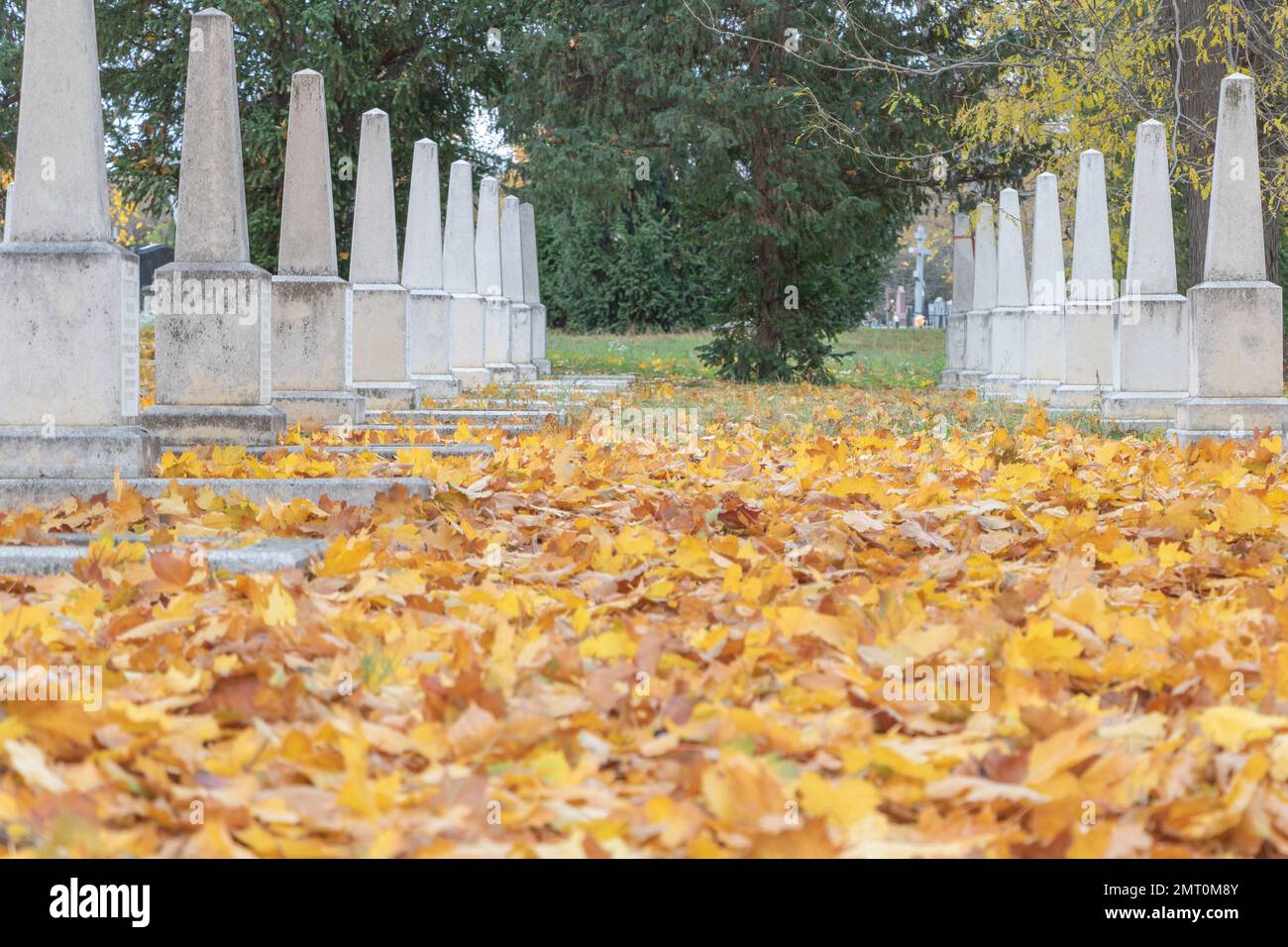 Onorando i defunti: Foglie di acero giallo e Gravestones in autunno. Foto Stock