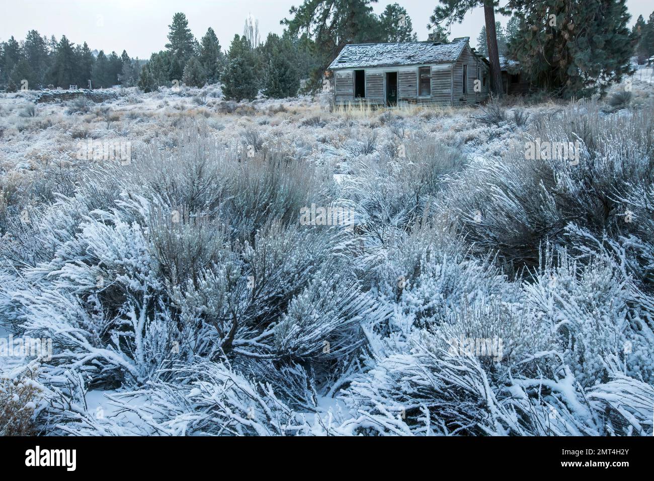 USA, Oregon, Central, Bend, Old Cookhouse in inverno Foto Stock