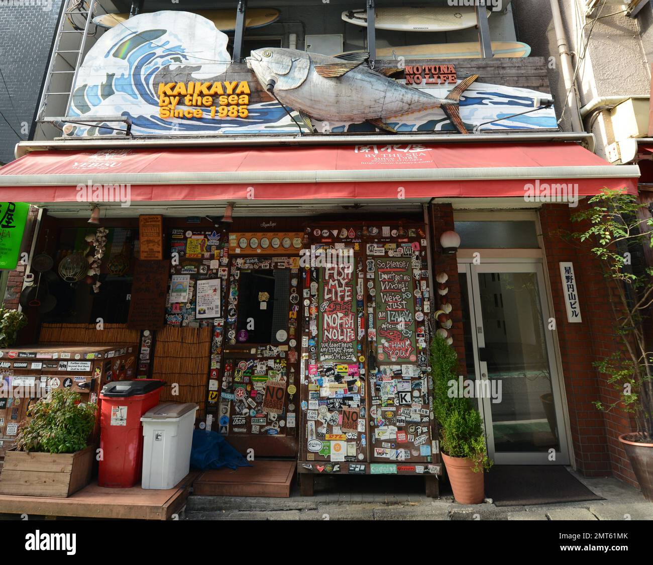 Kaikaya presso il ristorante sul mare a Shibuya, Tokyo, Giappone. Foto Stock