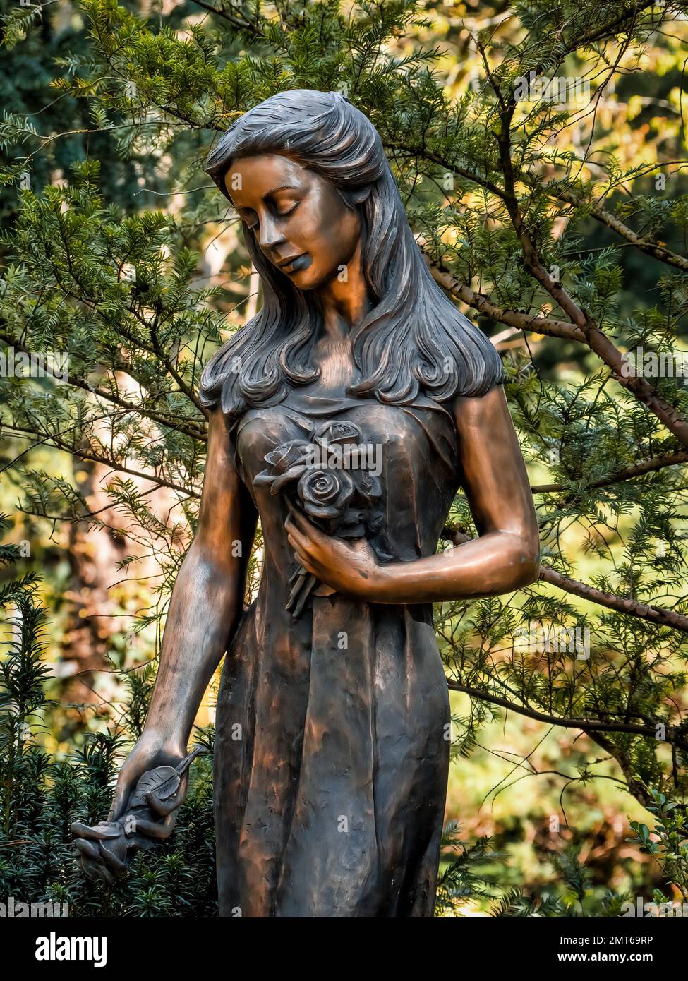 OLYMPUS FOTOCAMERA DIGITALE Foto Stock