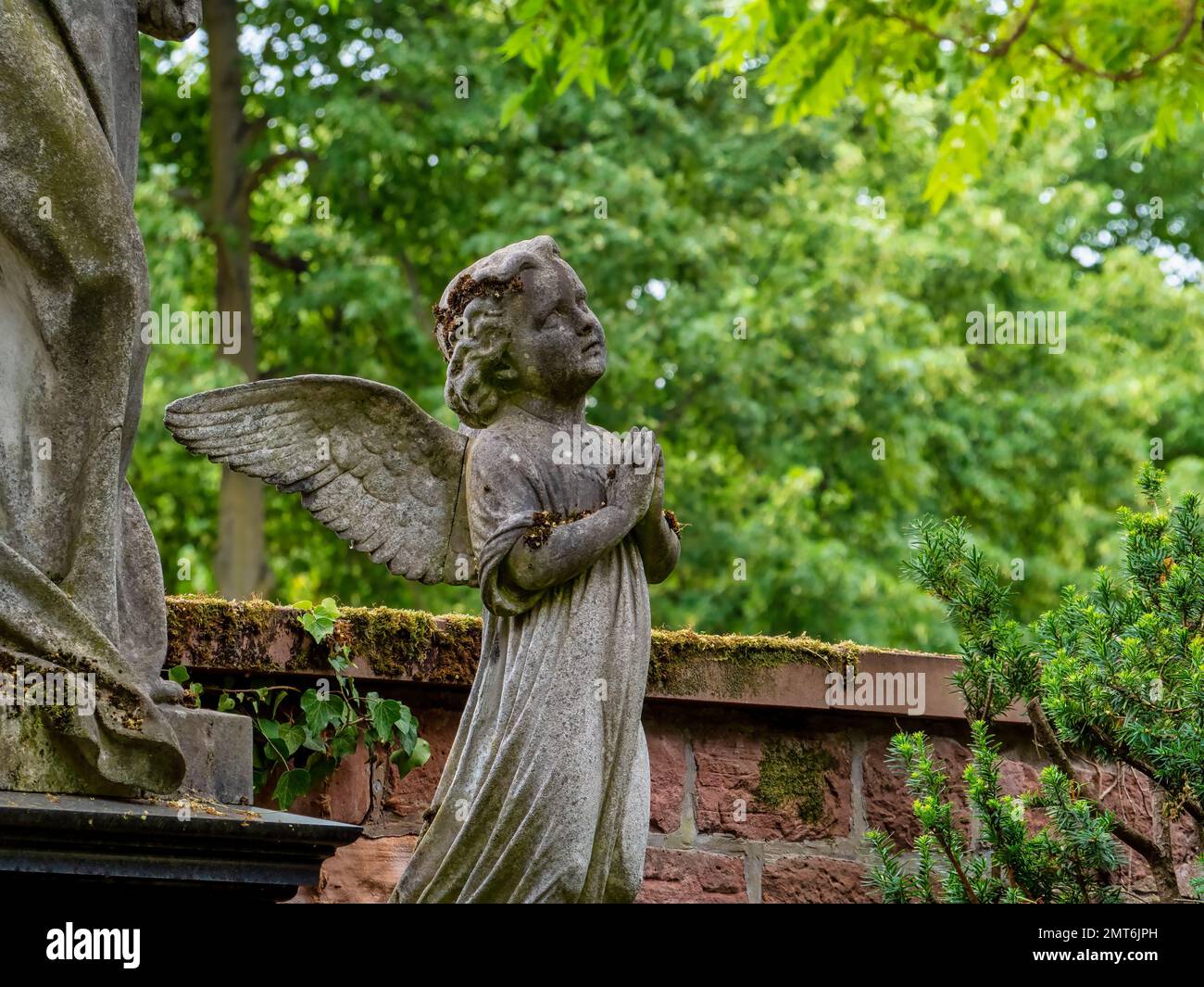 OLYMPUS FOTOCAMERA DIGITALE Foto Stock