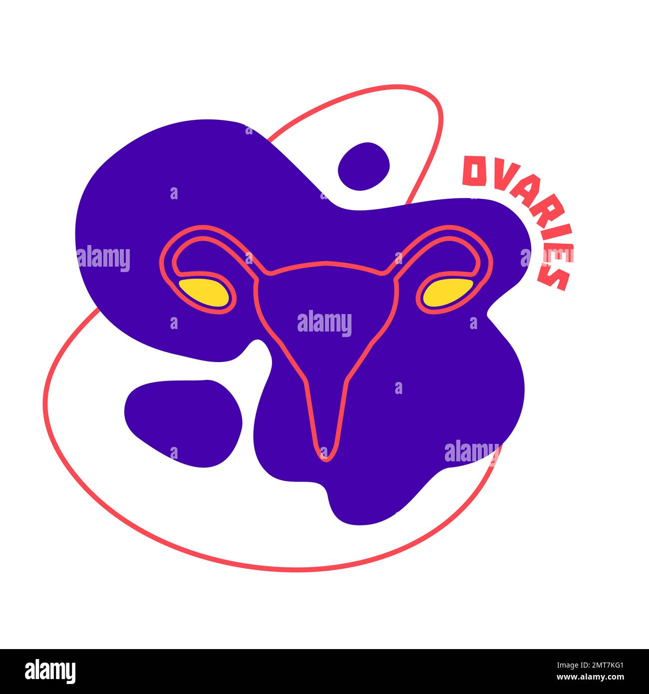 Ovaie sistema riproduttivo endocrino e femminile corpo organo contorno icona Illustrazione Vettoriale