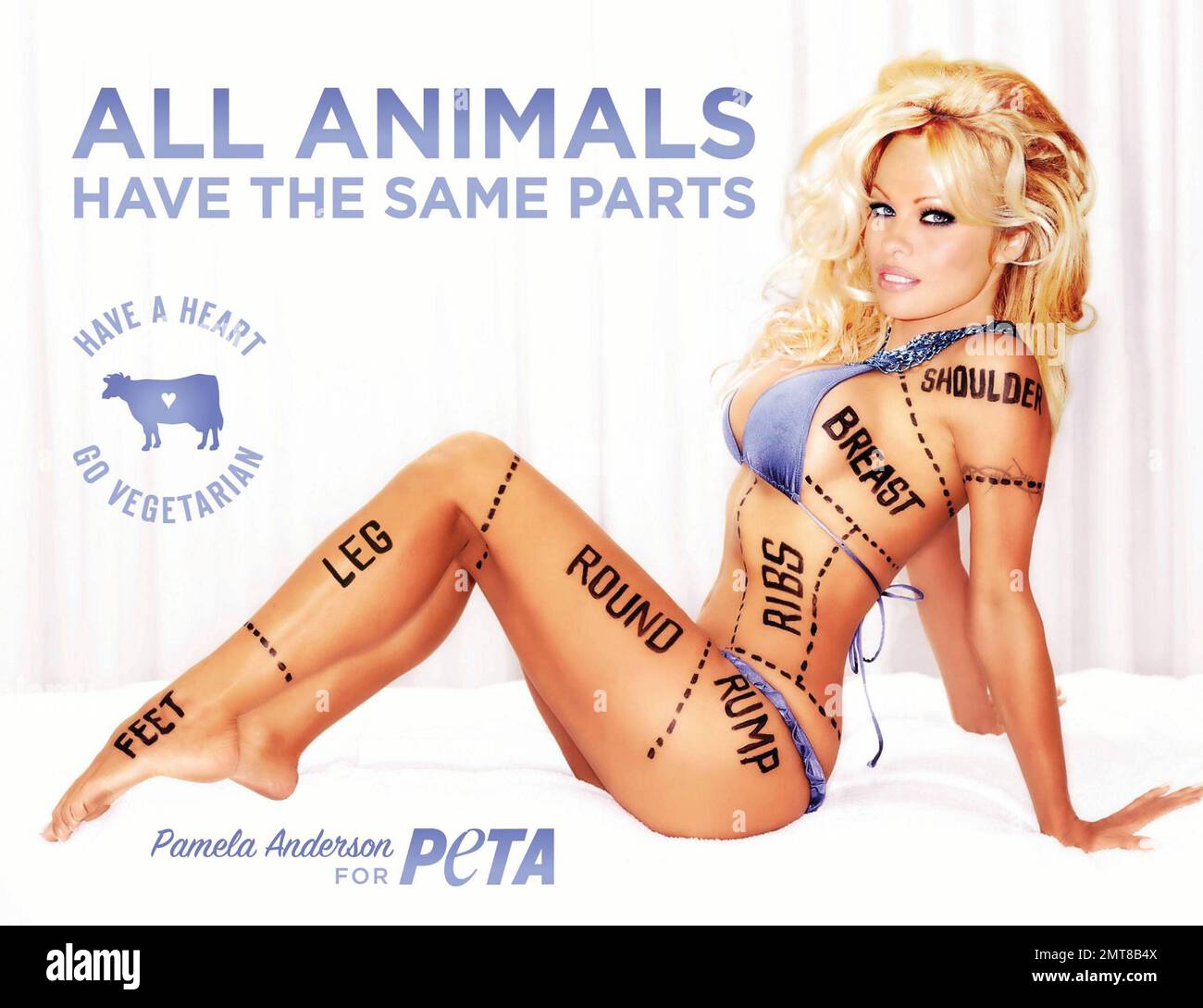 Nella foto si trova l'attivista per i diritti degli animali e l'attrice Pamela Anderson nella sua più recente PETA (persone per il trattamento etico degli animali) ad aver promosso il vegetarismo, che sembra aver causato un po' di polemiche nel suo paese natale. Anderson, che è stato sopportato nella Columbia Britannica, è stato negato secondo quanto riferito un permesso entrare in Place Jacques-Cartier della Vecchia Montreal davanti al Municipio dove era suppone di rivelare oggi il nuovo annuncio come parte di una conferenza di notizie del giusto per le risate. Un rappresentante della Montreal Film and TV Commission ha scritto in una e-mail a PETA, 'come ci si potrebbe aspettare... noi a. Foto Stock