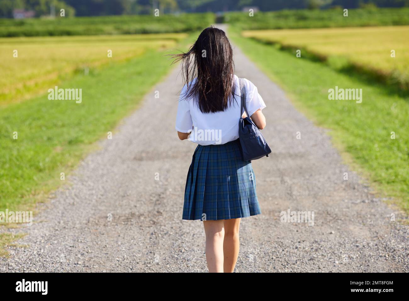 Ritratto degli studenti delle scuole superiori giapponesi all'aperto Foto Stock