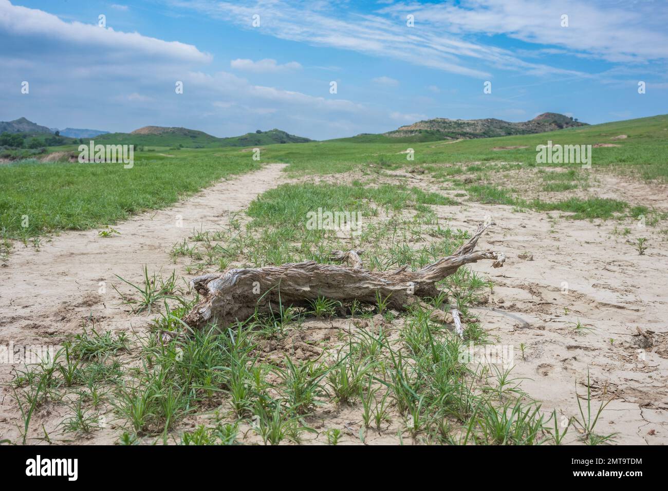 Il Parco Nazionale Theodore Roosevelt del North Dakota, mostrato qui durante una giornata estiva con nuvole di cumuli nel cielo, è dove le grandi pianure incontrano il RU Foto Stock