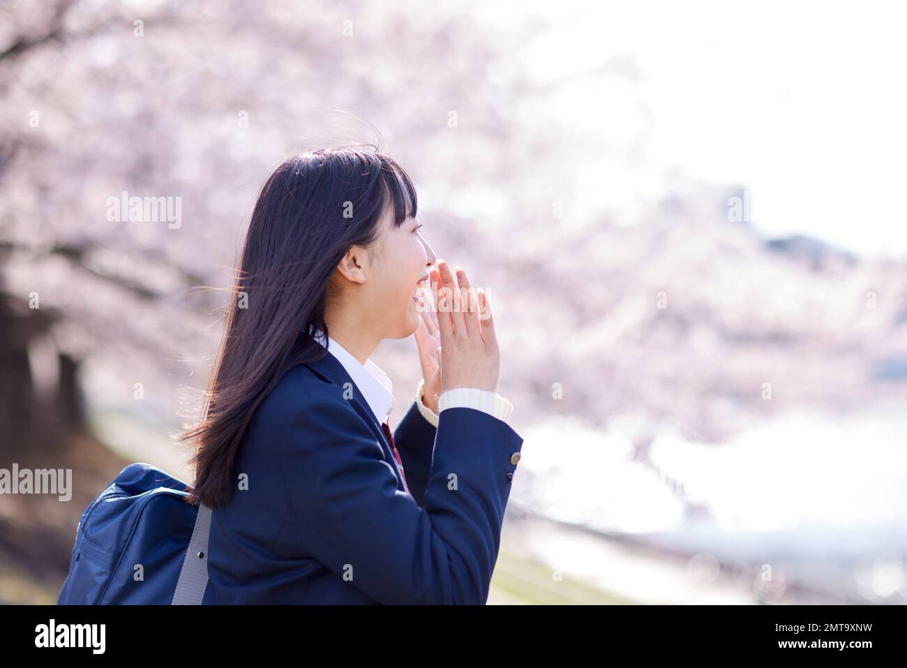 Ritratto degli studenti delle scuole superiori giapponesi con fiori di ciliegio in piena fioritura Foto Stock
