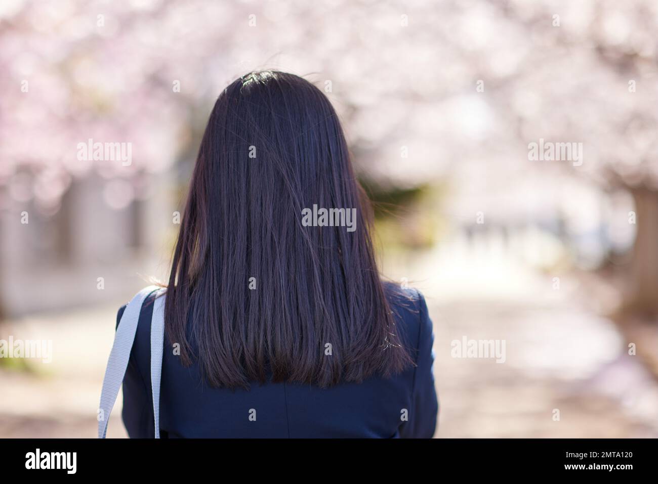 Ritratto degli studenti delle scuole superiori giapponesi con fiori di ciliegio in piena fioritura Foto Stock