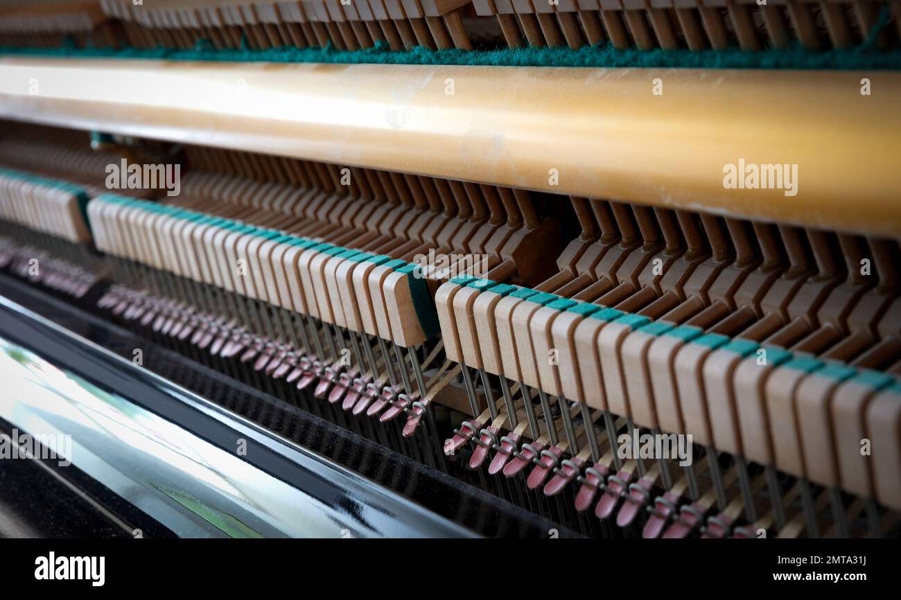 Dettagli del meccanismo a pianoforte gavel - corda, spille e martelli, pianoforte dal 1973 Foto Stock