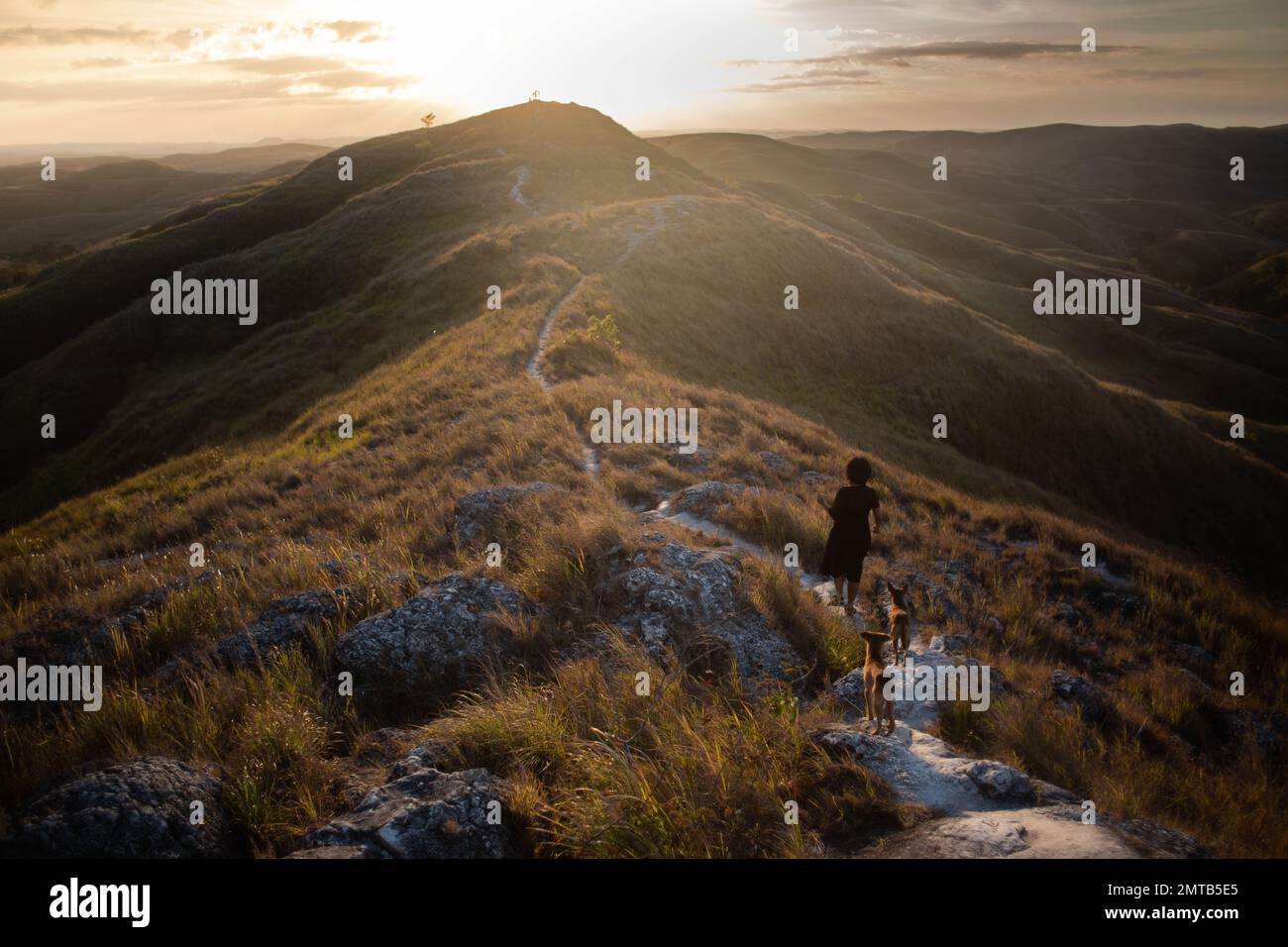 Una ragazza che cammina con i suoi cani in cima a Bukit Warinding, Sumba, East Nusa Tenggara, Indonesia Foto Stock