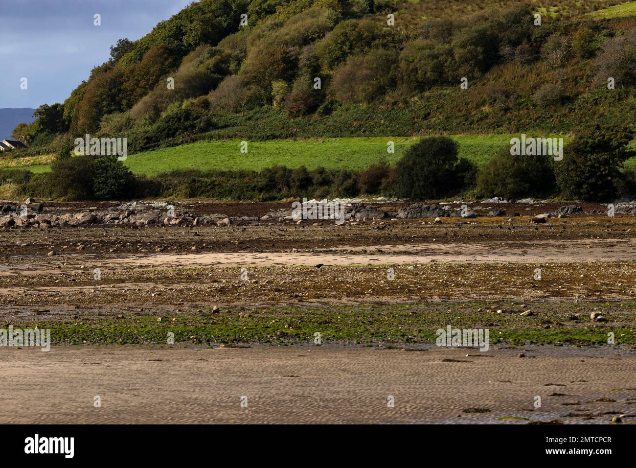 Ettrick Bay Isola di Bute Scotland Seaside Foto Stock