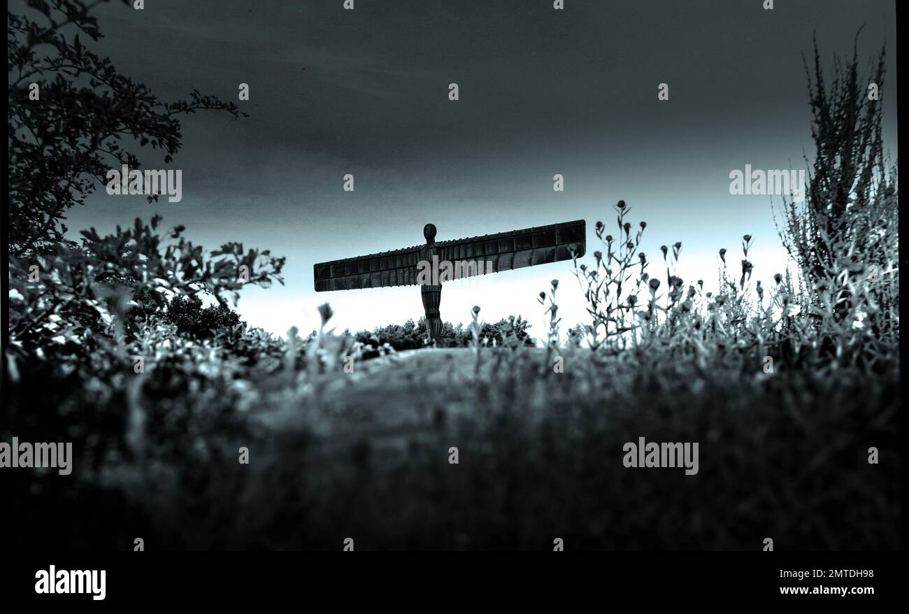 Un artistico paesaggio bianco e nero con l'Angelo del Nord circondato da giardini paesaggistici. Foto Stock