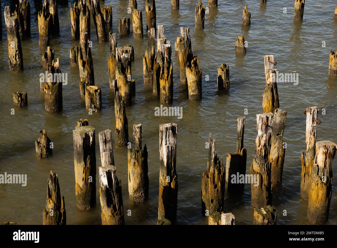 Parco di Little Island al molo 55 nel fiume Hudson a Manhattan, New York City Foto Stock