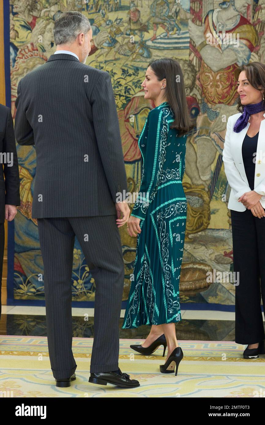Madrid. Spagna. 20230201, re Felipe VI di Spagna, la regina Letizia di Spagna partecipa ad un'udienza con un rappresentante della Fondazione della Croce Rossa Spagnola a Palazzo Zarzuela il 1 febbraio 2023 a Madrid, Spagna Foto Stock