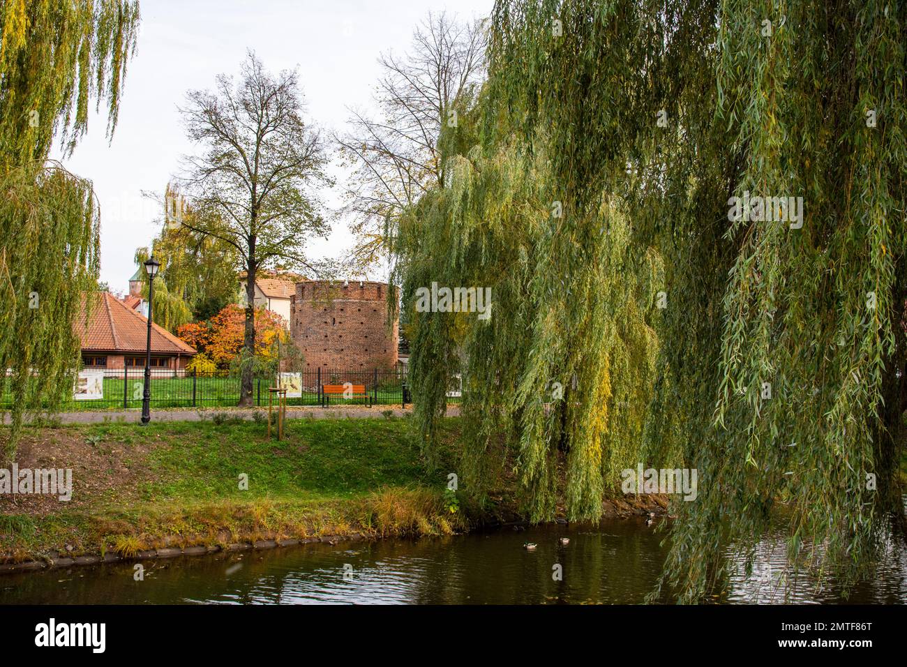 Storica torre difensiva tra salici verdi e piangenti in una giornata estiva. Foto Stock