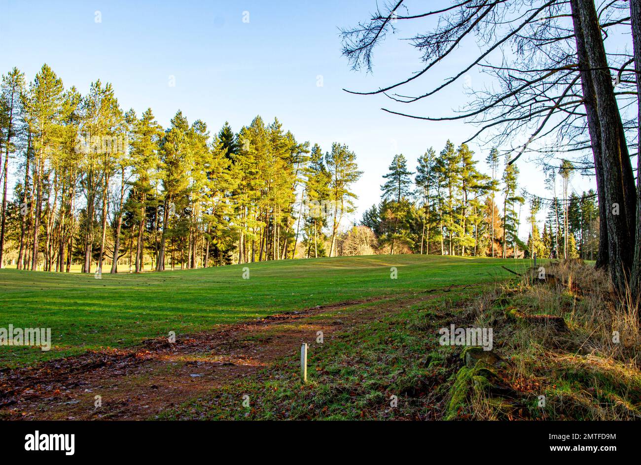 Dundee, Tayside, Scozia, Regno Unito. 1st Feb, 2023. UK Weather: La Scozia nord-orientale sta vivendo il sole mite di febbraio con temperature che si aggirano intorno ai 9°C. Vista sul campo da golf Downfield e sui Templeton Woods al Dundee's Ardler Village, sotto il sole invernale. Il villaggio ha molto spazio aperto, che è integrato da splendidi prati urbani e aree boschive. La gente del posto è a disposizione per una partita di golf mattutina nei pressi di Templeton Woods. Credit: Dundee Photographics/Alamy Live News Foto Stock