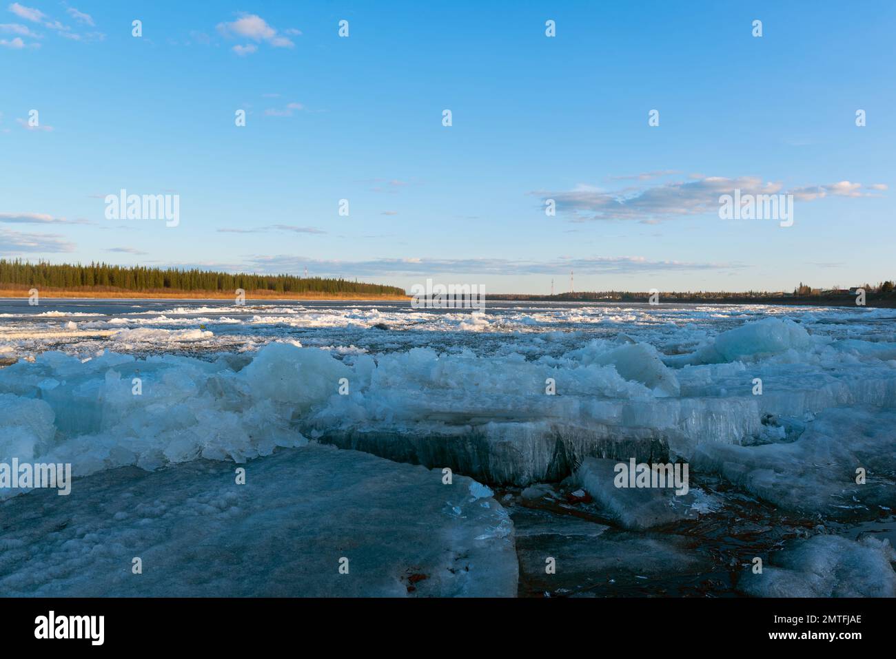 Gli ultimi galleggianti di ghiaccio a forma di ago si stanno sciogliendo vicino alla riva sullo sfondo della foresta. Deriva di ghiaccio sul fiume di sorgente in Yakutia Vilyui Foto Stock