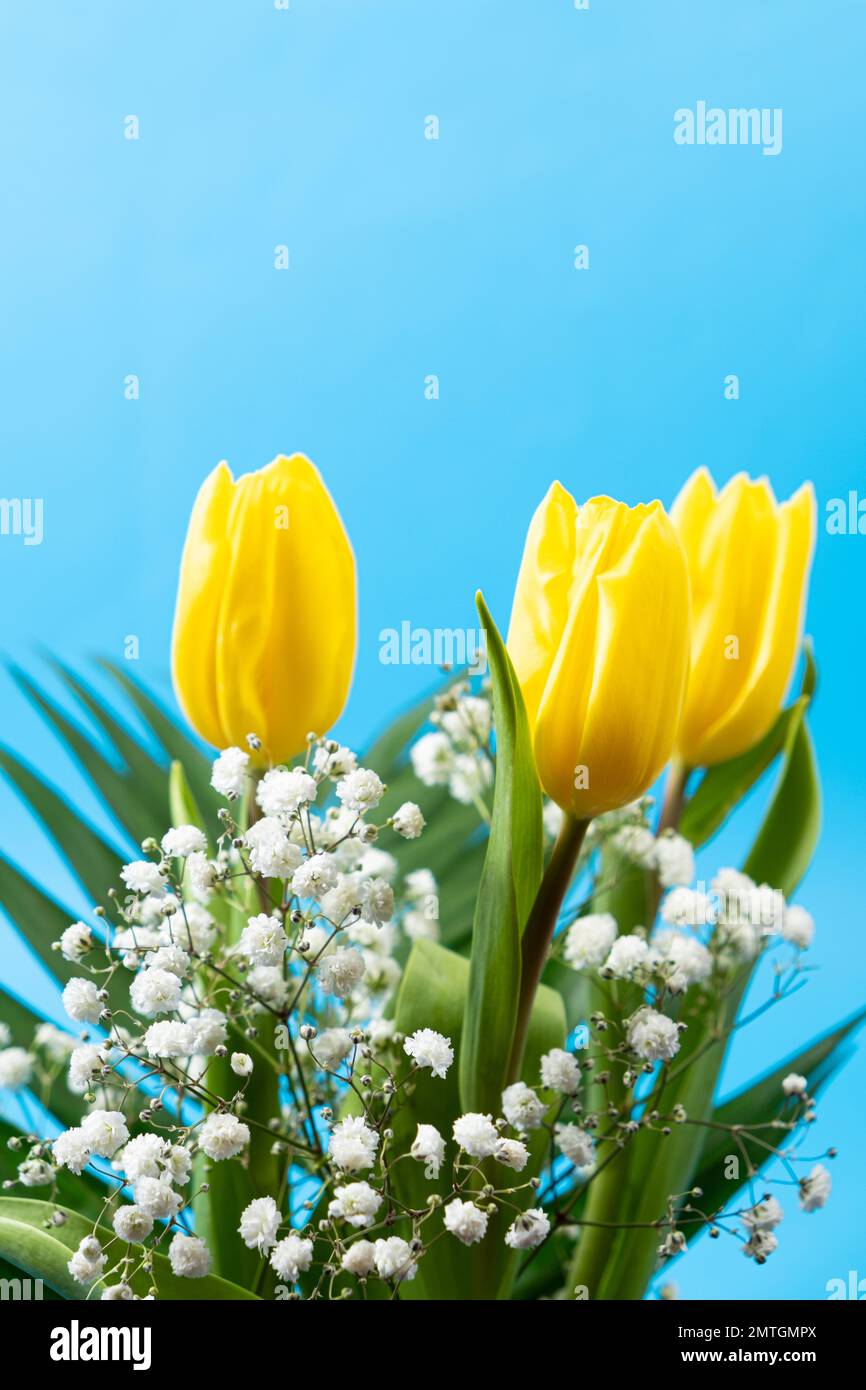Bouquet di fiori di tulipani e gypsofila su sfondo blu, luogo di testo, ciao primavera, dal marzo 8. Foto Stock
