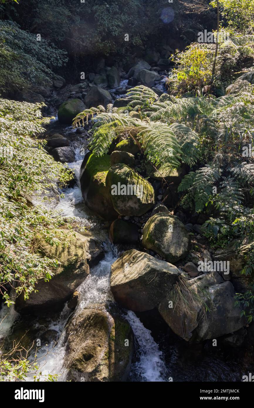 Vista soleggiata del bellissimo paesaggio fluviale del Fish Road Historical Trail a Taipei, Taiwan Foto Stock