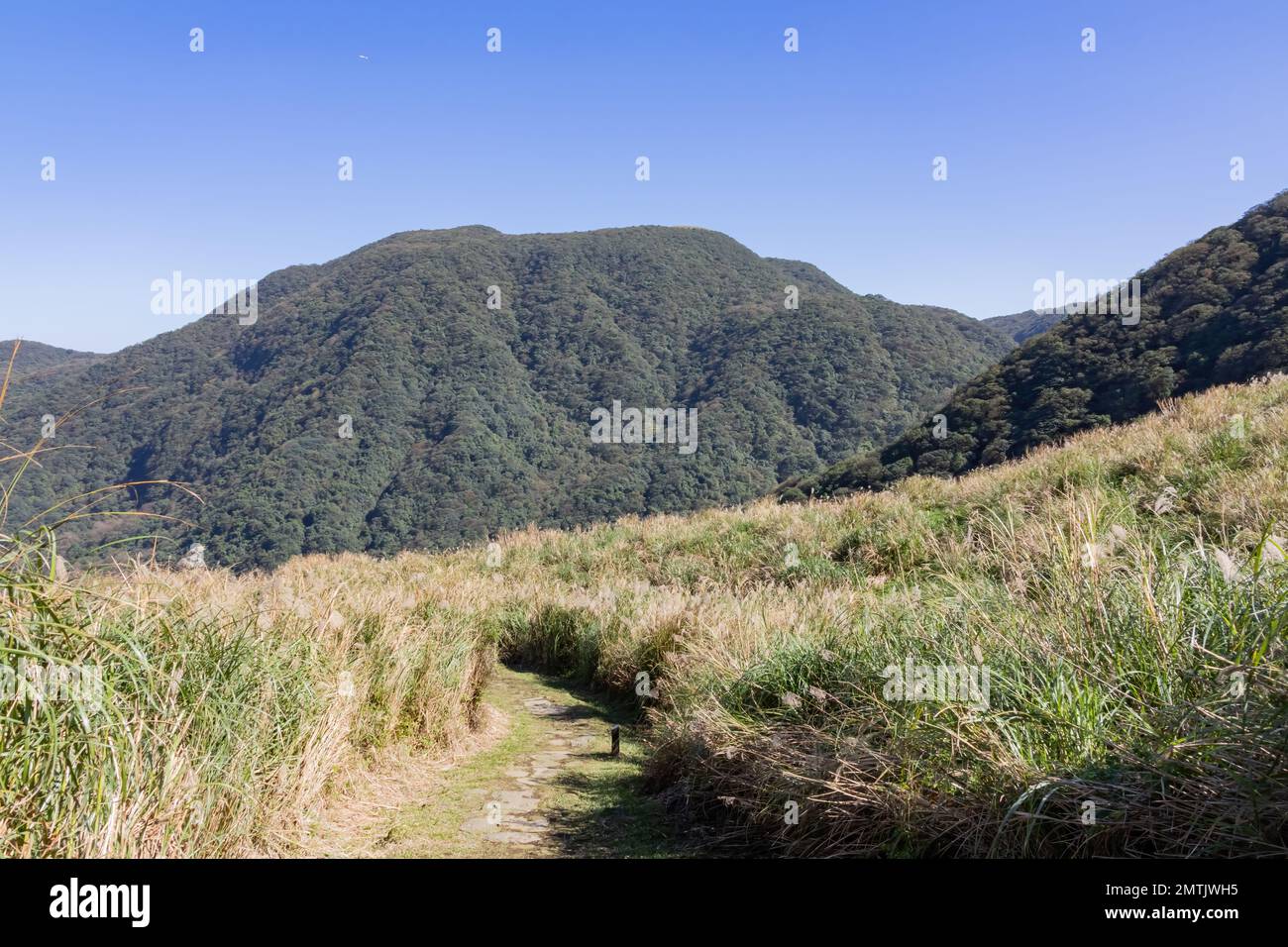 Vista soleggiata dello splendido paesaggio del sentiero storico di Fish Road a Taipei, Taiwan Foto Stock