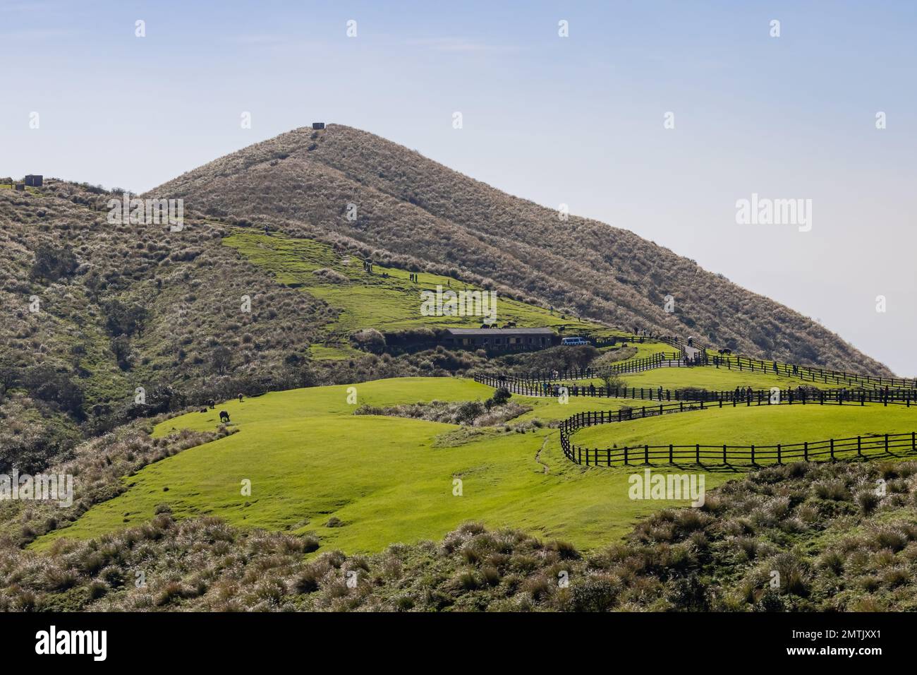 Vista soleggiata del Qingtiangang Grassland a Taipei, Taiwan Foto Stock