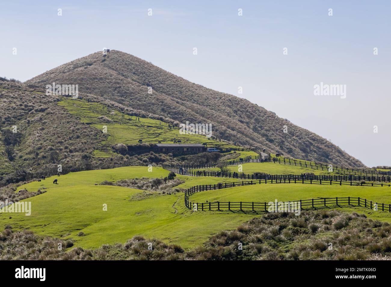 Vista soleggiata del Qingtiangang Grassland a Taipei, Taiwan Foto Stock
