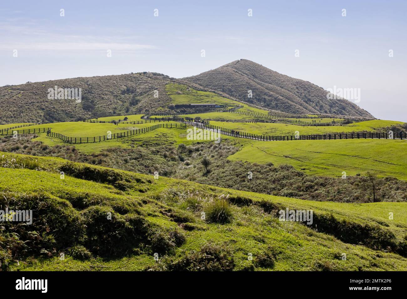 Vista soleggiata del Qingtiangang Grassland a Taipei, Taiwan Foto Stock