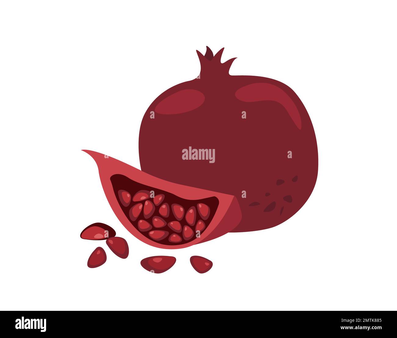 Frutto di melograno intero e tagliata fetta di melograno con semi dolci isolati su fondo bianco.Flatt Vector Illustration Foto Stock