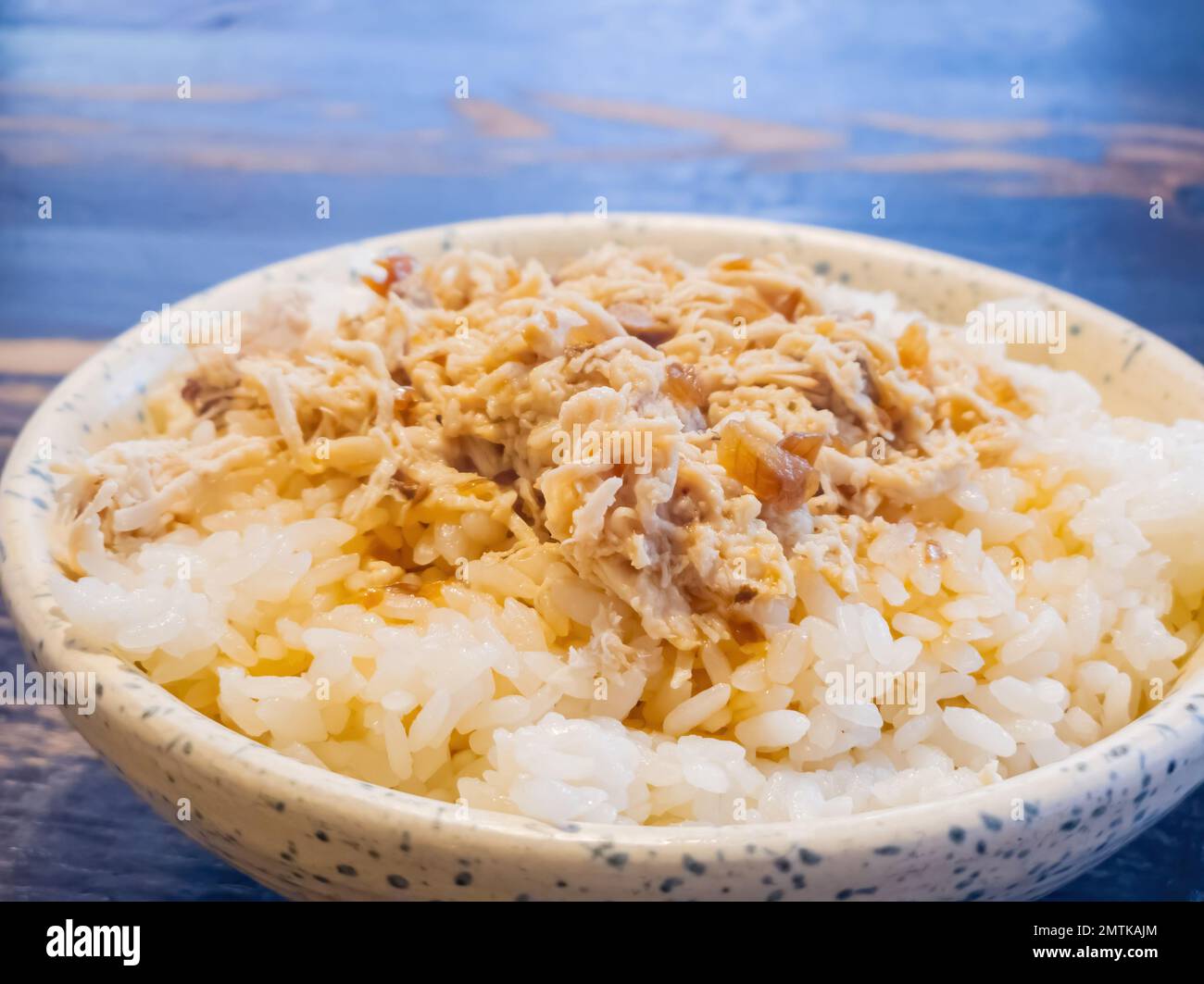 Primo piano di pollo tritato taiwanese a Taipei, Taiwan Foto Stock