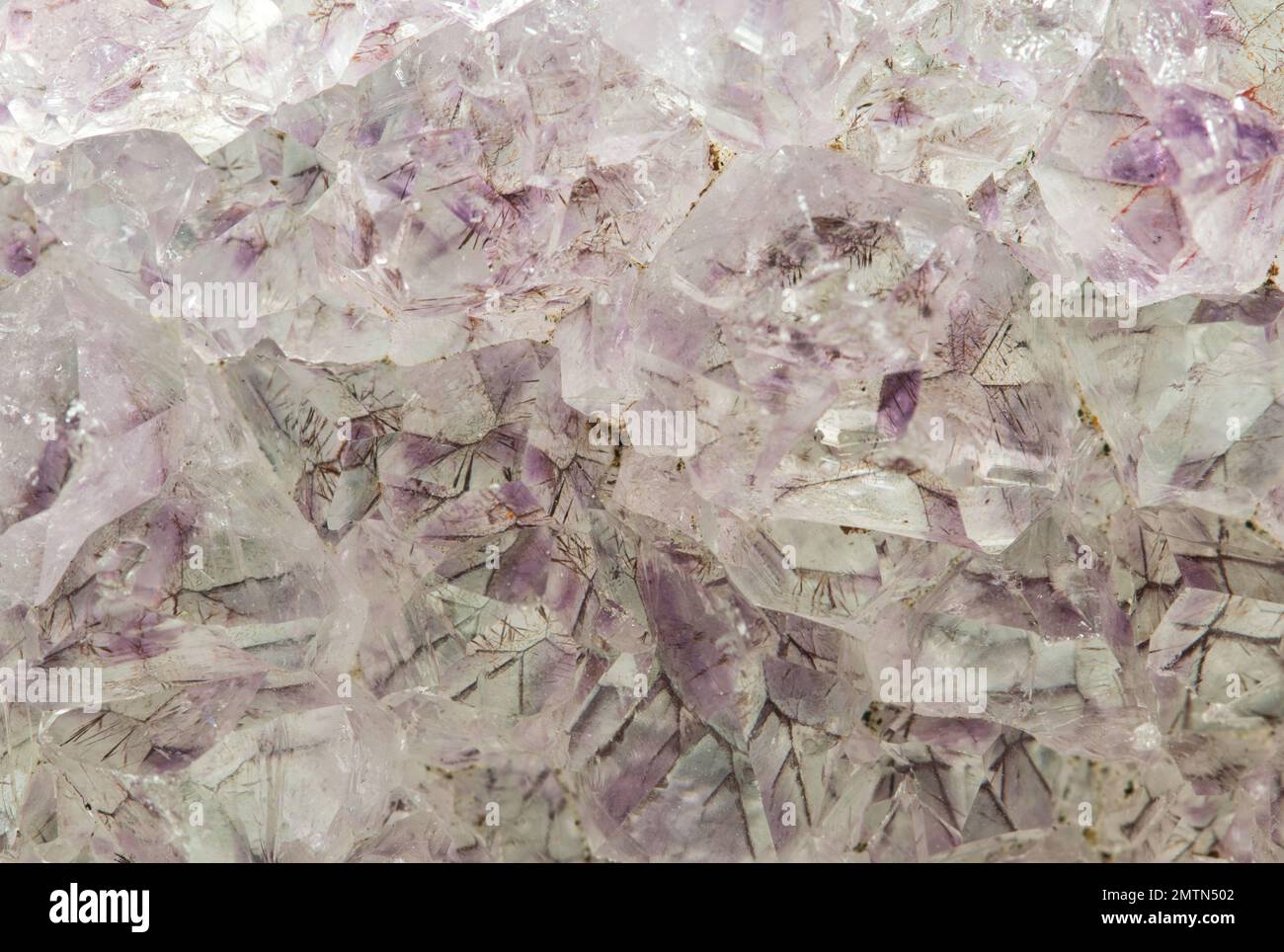 All'interno di un geode Ametista. Cristalli di quarzo in forma minerale grezza con dettagli fini. Foto Stock