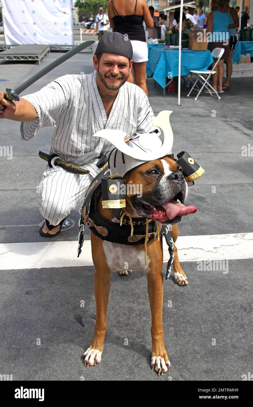 Hanzo, il Boxer tedesco e il suo proprietario, Eric Felland, vestito come guerrieri Samurai nel concorso lookalike cane-proprietario come parte dell'evento Surf City Surf Dog, Huntington Beach, CA. 29th settembre 2012. Foto Stock