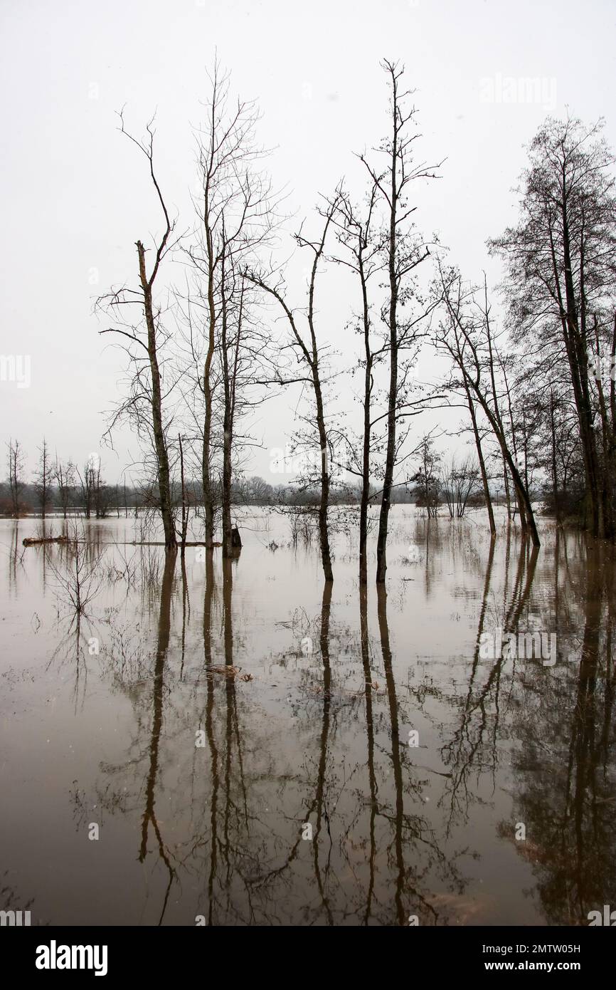 alluvione in germania hessen Foto Stock