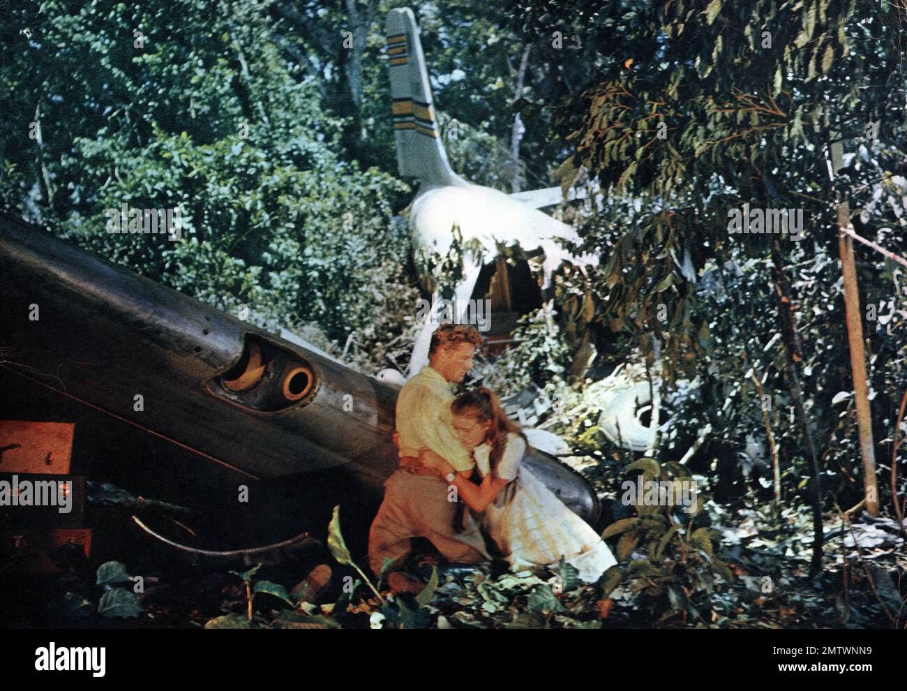 La Mort en ce jardin anno: 1956 - Francia / Messico Direttore: Luis Buñuel Michèle Girardon, Georges Marchal Foto Stock