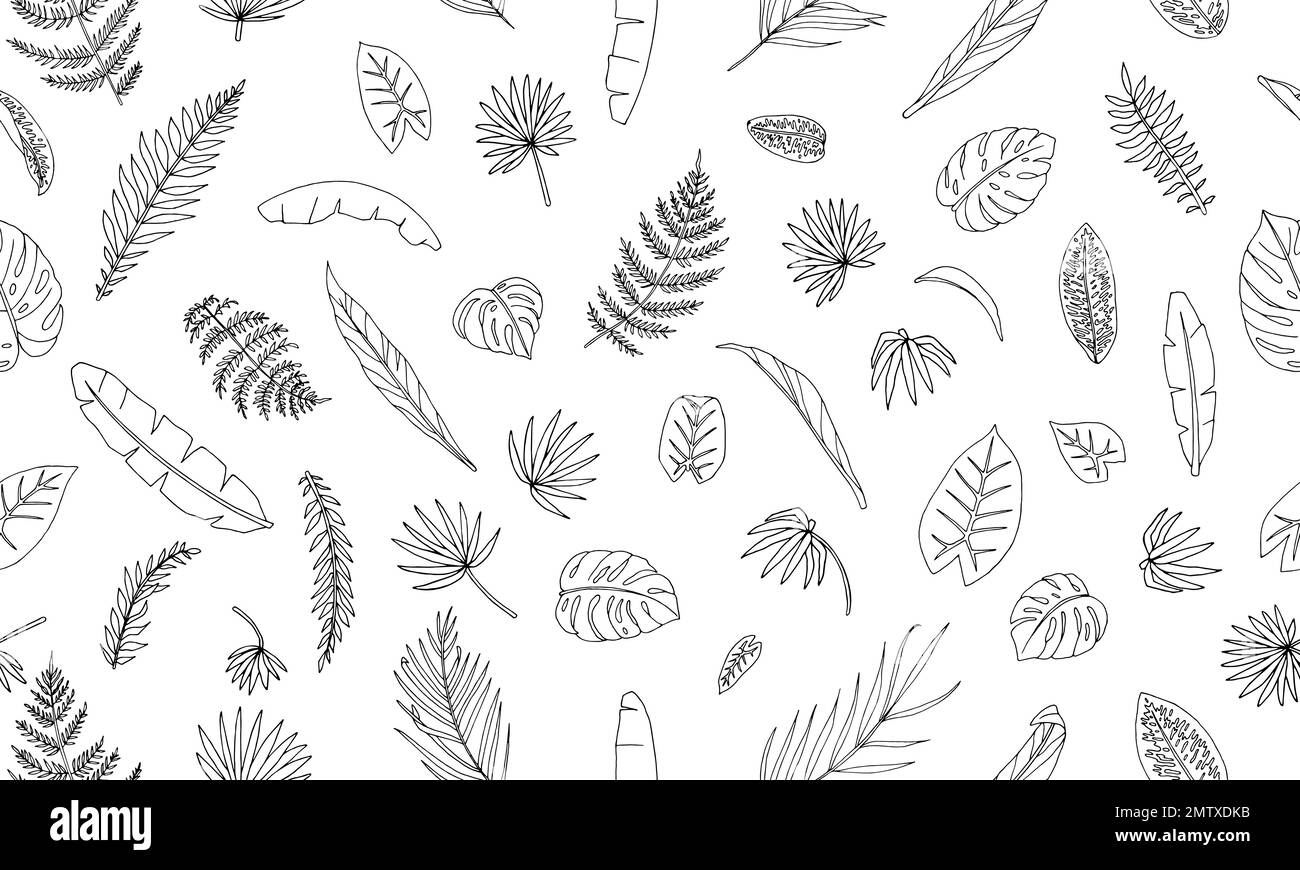 Modello senza giunture di vettore di foglie di pianta tropicale. Sfondo di ripetizione del fogliame della giungla. Palma disegnata a mano, banana, mostera, dieffenbachia, Terminal Illustrazione Vettoriale